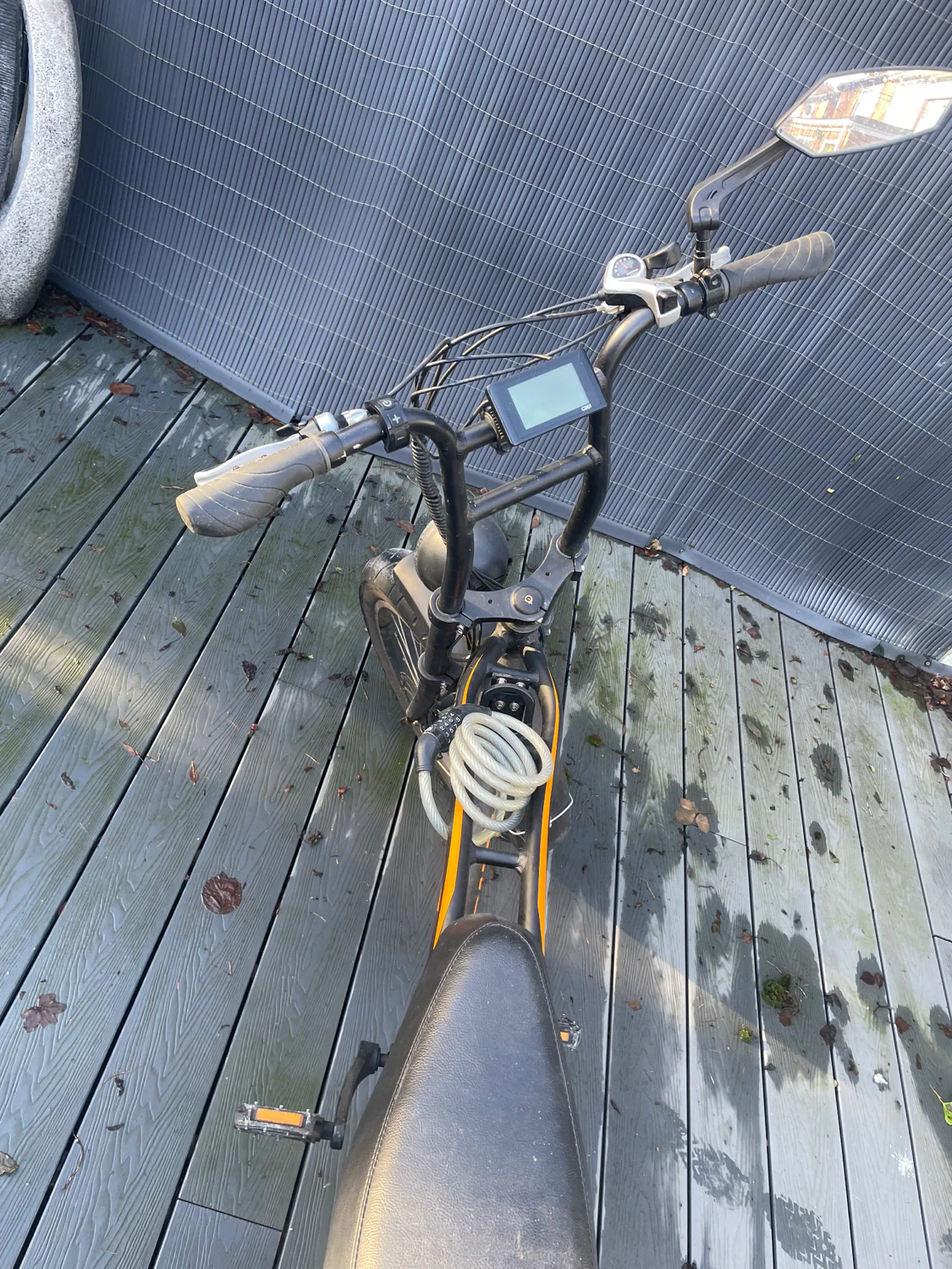 Barracuda  Rogue - Image 5