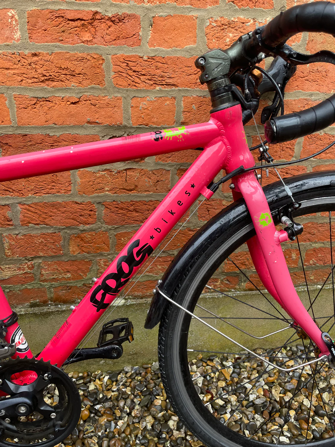 Frog Road 70 2018 - Image 4