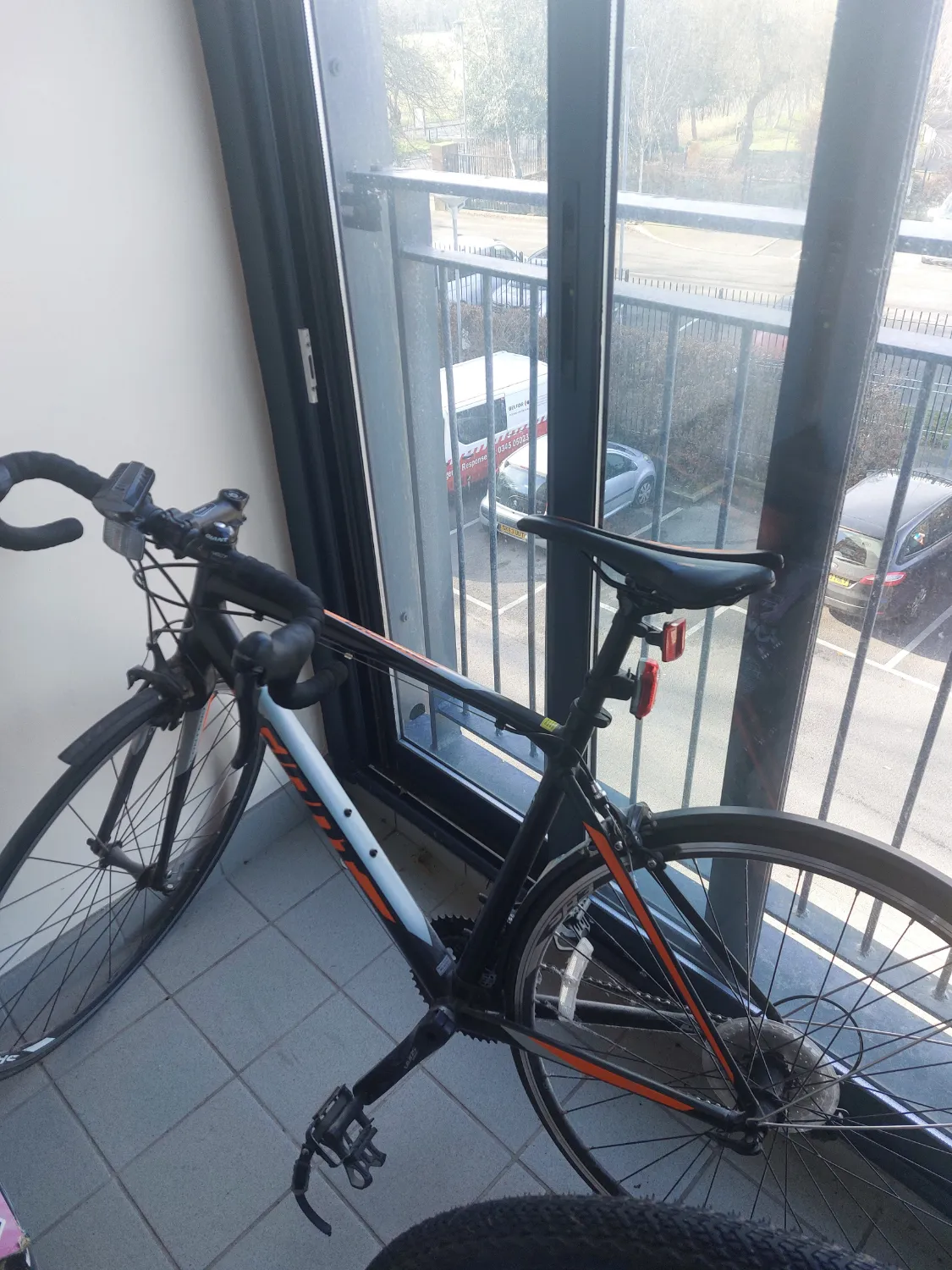Giant Contend 2 2022