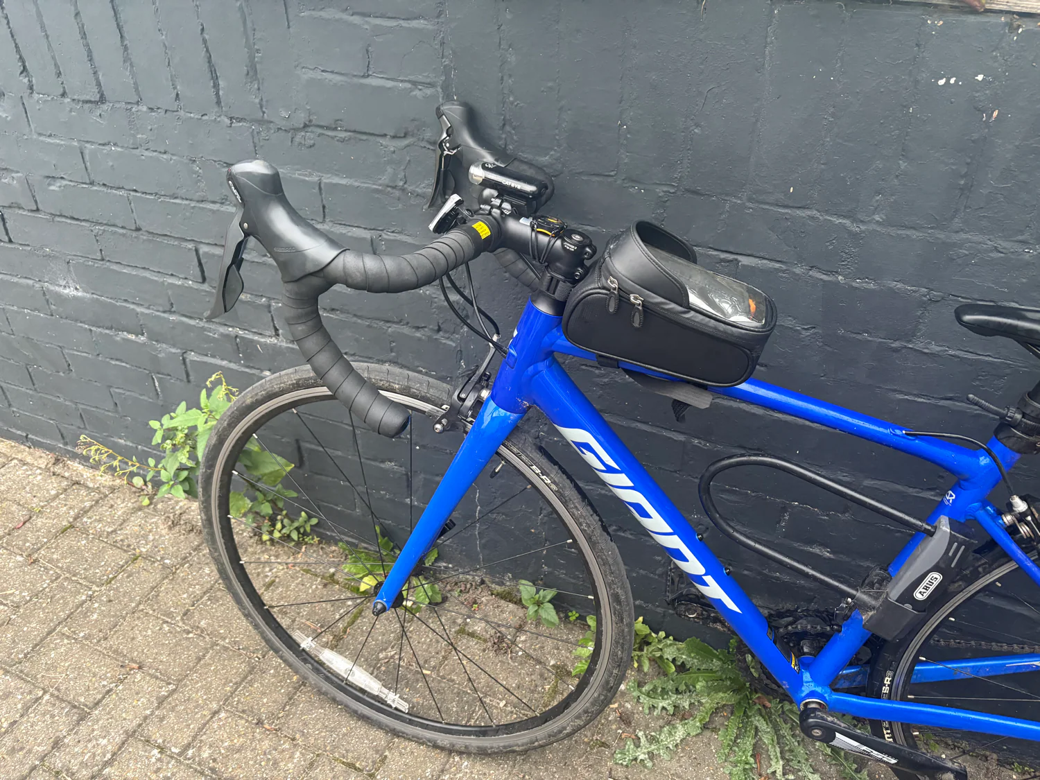Giant Contend 2 2024 - Image 7