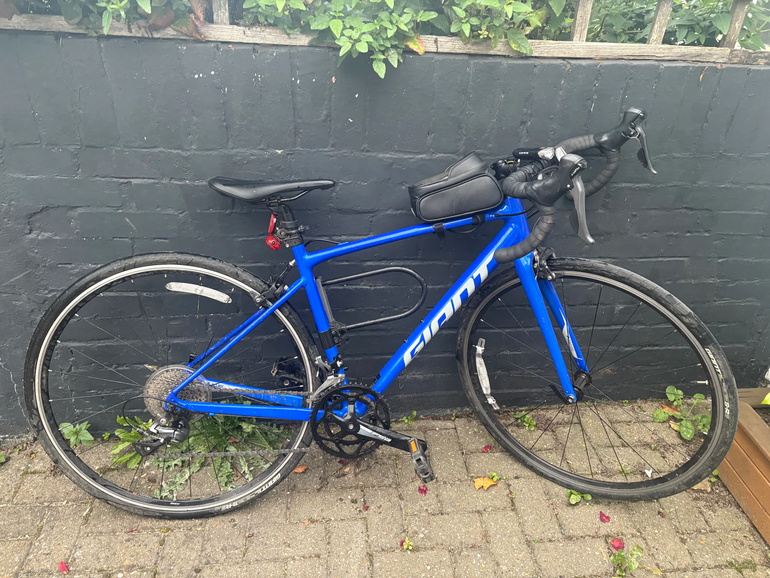 Giant Contend 2 2024 - Image 9