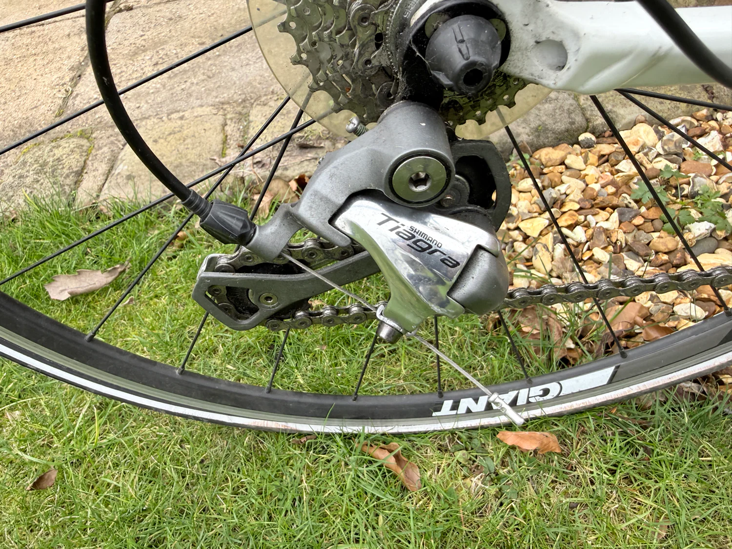 Giant Rapid 2 2012 - Image 2