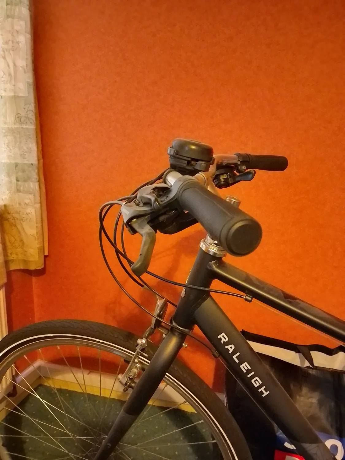 Raligh Pioneer  2024 - Image 4