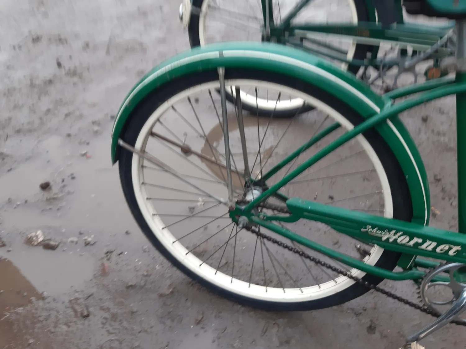 Schwinn Hornet - Image 4
