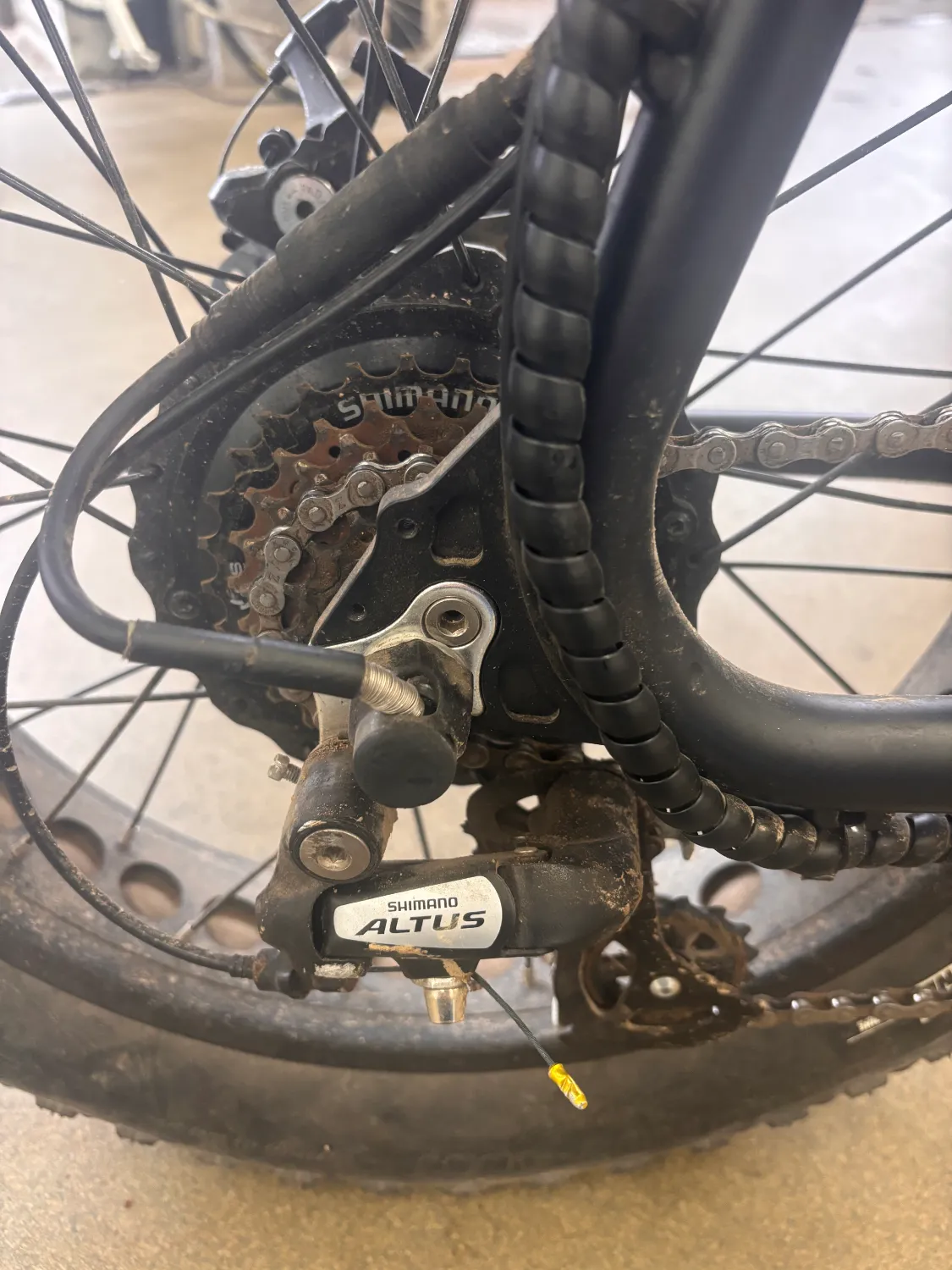 Synch Super Monkey (Short Tail) 2021 - Image 9